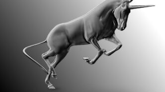 Will Mega Unicorns Go Public? Here’s What to Expect