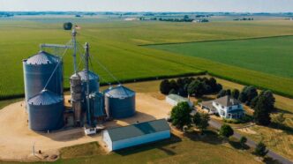 Fieldstone Bio Raises $5M to Scale Microbial Sensors
